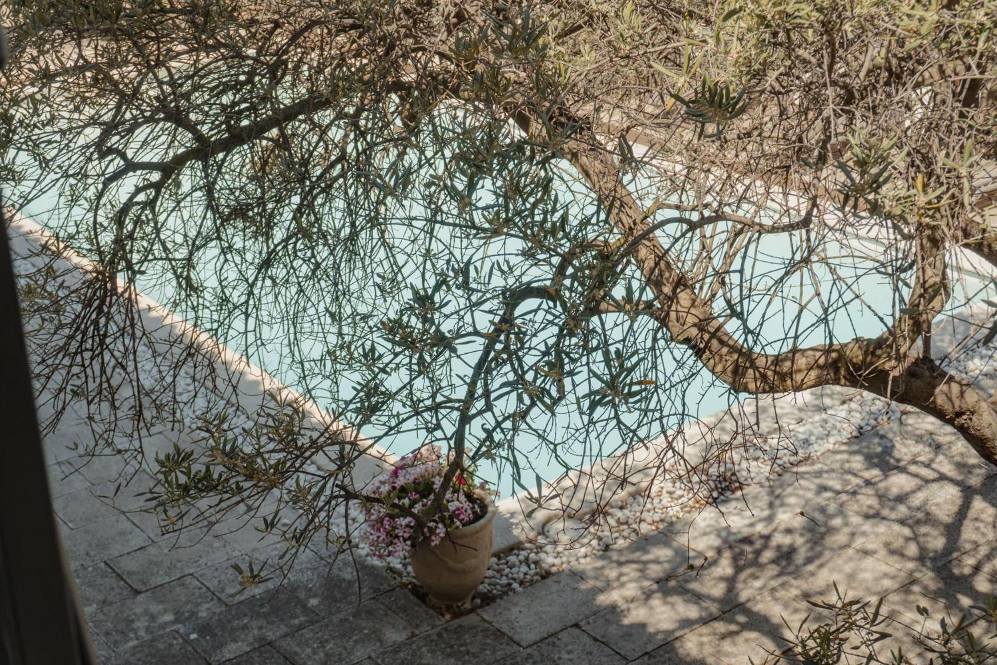 Hotel Les Magnanarelles Maussane les Alpilles Exterior foto